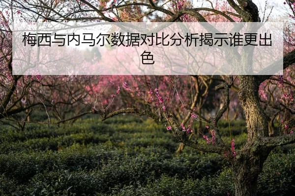 梅西与内马尔数据对比分析揭示谁更出色
